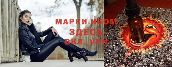 молекула духа Каменногорск